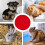 Pet Winter Warming Pad, Round Heating Mat Replacement parts 6