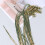 10M Cristal Vert Pour Artisanat Décoration Tendance 6