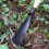 2Pcs Heavy-Duty Iron Garden Planting with Comfortable Grip 3