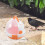 Bird Cage Bird Carrier Cage Abs Material 1set 11