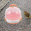 Bird Cage Bird Carrier Cage Abs Material 1set 6