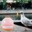Bird Cage Bird Carrier Cage Abs Material 1set 4