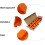 Hardwood Flooring Installation Tools Set with Floor Spacers for Laminate and Engineered Wood, Adjustable Spacing Support Kit 3