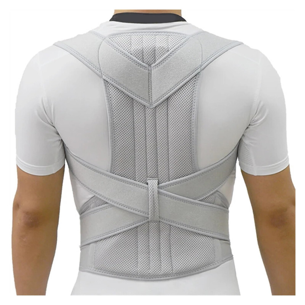 Back Brace Lumbar Support Adjustable Scoliosis Posture Corrector Corset Small Size B Color for Back Pain Relief