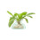 LSA International LSA Canopy 9.5cm Recycled Glass Vase 3