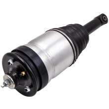 Rear Left / Right Air Suspension Strut For Range Rover Sport RPD501030
