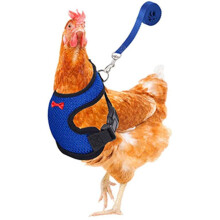 Adjustable Chicken Harness with Leash Breathable
