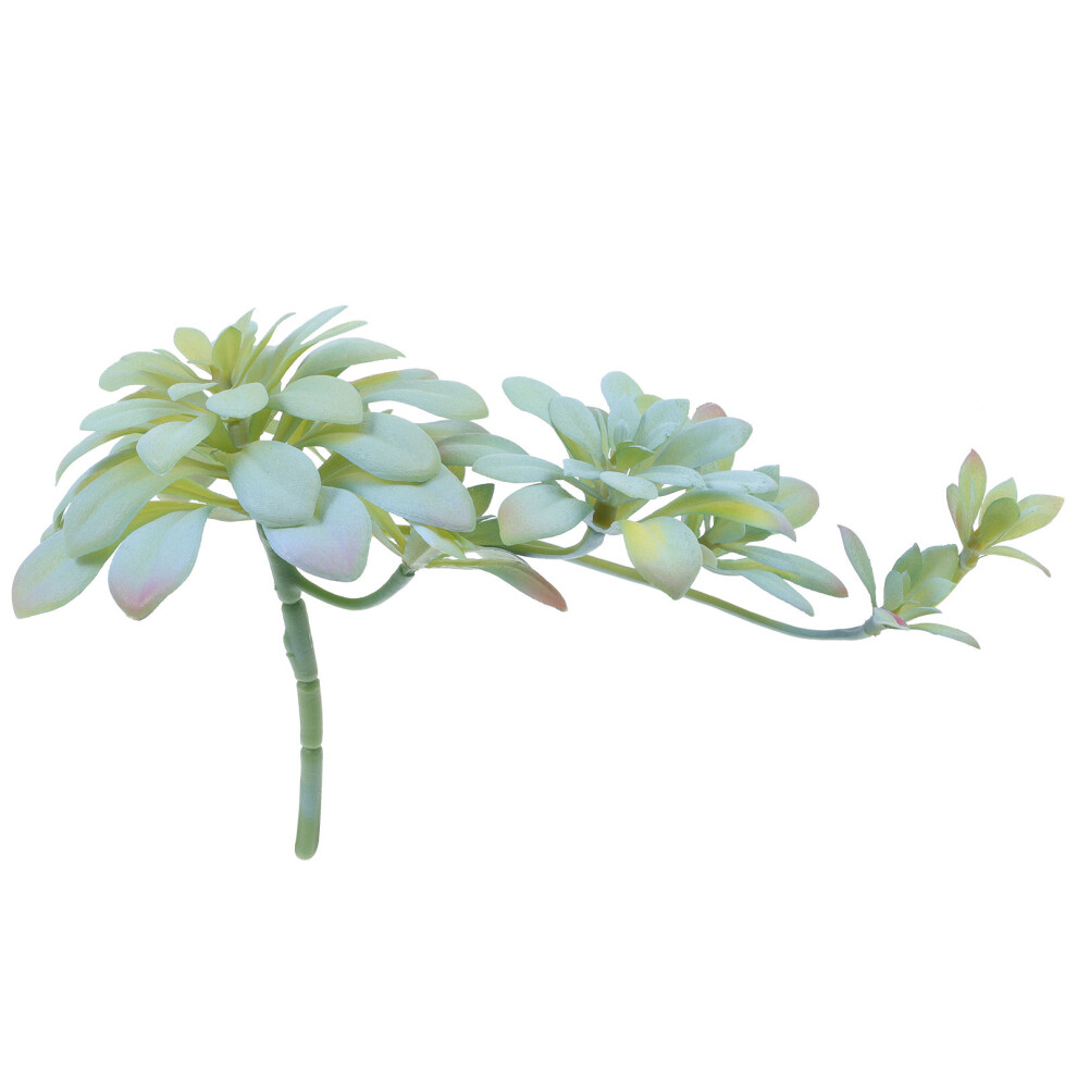 Emulatieplant Rotan Veelzijdige Plant Voor Feestjes Thuis-image