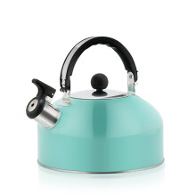 Whistling Tea Kettle Stainless Steel 410 with Infuser, Non-Slip Handle, Fast Boiling Loud Whistle, Sky Blue Color