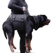 Dog Sling Carrier for Large Dogs, Emergency Pet Lift Harness with Leg Support for Rehabilitation - Perfect Gift for Pet Owners (Ggzg 2024)