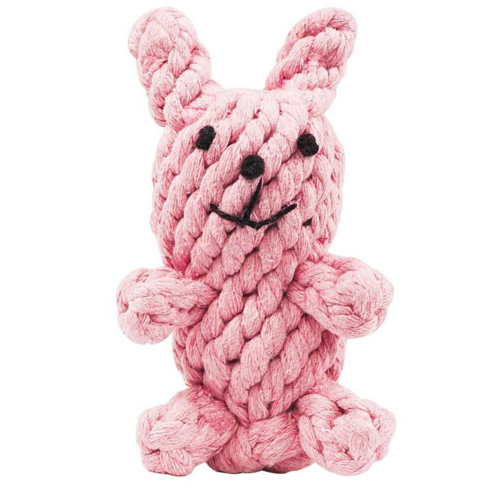 Speelgoed Kauwspeeltjes Handleiding Leiband-image