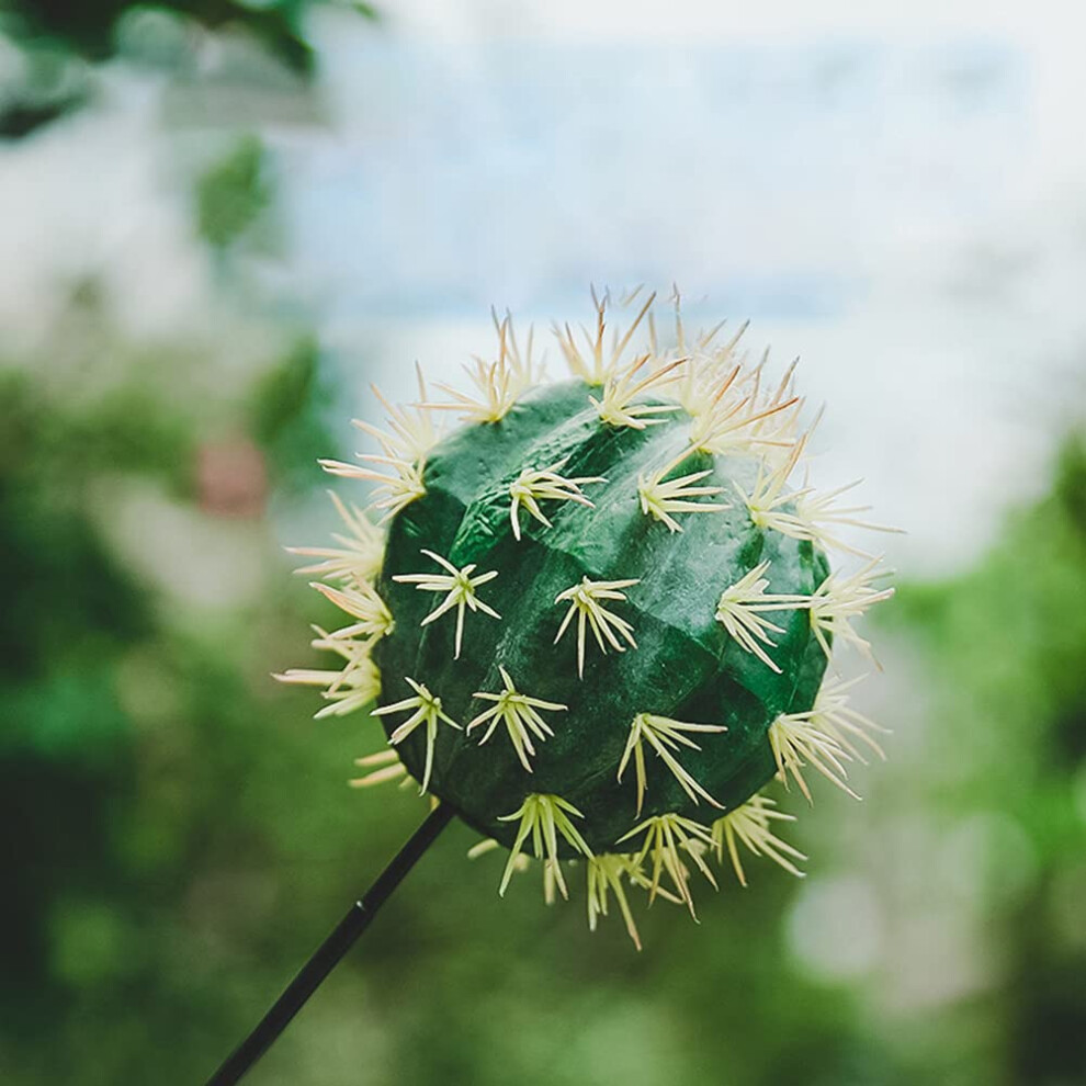 Car Antenna Decoration Cactus Topper Universal Eva Foam Roof Aerial Ball Ornament Compatible With Most Vehicles 6447073931277