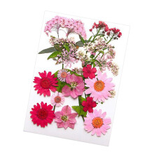 Dried Pressed Flowers Sheets Kit for Scrapbooking, Nail Art, and DIY Crafts, Pink Color, Decorative Floral Art