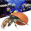 Simulation Hermit Crab Model Lifelike Sea Life 11