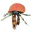 Simulation Hermit Crab Model Lifelike Sea Life 7