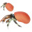 Simulation Hermit Crab Model Lifelike Sea Life 9