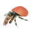 Simulation Hermit Crab Model Lifelike Sea Life 3