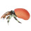 Simulation Hermit Crab Model Lifelike Sea Life 5
