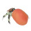Simulation Hermit Crab Model Lifelike Sea Life 15