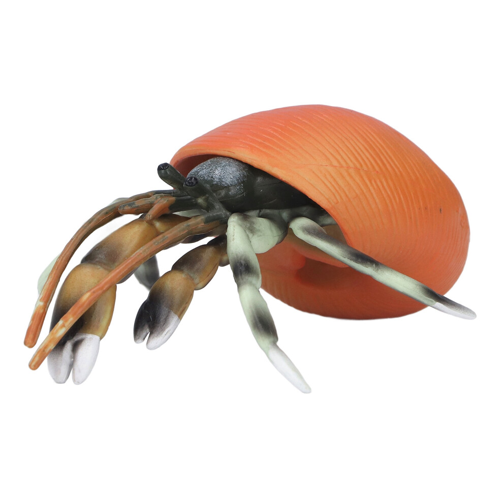 Simulation Hermit Crab Model Lifelike Sea Life