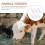 6Pièces Biberons À Lait Durable Pour Élevage Animaux Couleur Blanche 11