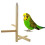 Parakeet Cage Small Bird Parrot Swing Durable Toys Exercise 4