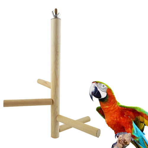 Parakeet Cage Small Bird Parrot Swing Durable Toys Exercise 2