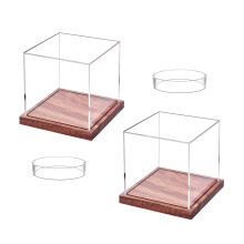 Elegant Baseball Display Box with Wooden Base, Portable Case for Signed Memorabilia, Holds 2 Baseballs