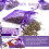 10 Pack Lavender Sachets for Drawers and Closets 10