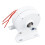 200W Three Phase Alternator Home Permanent Magnet 10