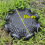 Folding Crayfish Catcher Casting Fish Network Crab 2