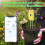Tuya Smart Bluetooth Bodentester Temperatur Feuchtigkeit 5