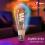 Tuya Zigbee Smart ST64 LED Light Bulbs 16 Million 7