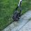 Wheel Rotary Edger,Adjustable Length Lawn Edger,St 7