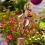 Yard Sign Stake Metallvogel Dekorativer Gartenstecker 6