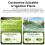 Zigbee Smart Water Valve Timing Irrigation Switch 10