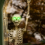 Halloween Led Glowing Eyes with Timer,2 Pcs Light 6