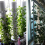 Hydroponic Vertical Tower Container DIY Planting C 4