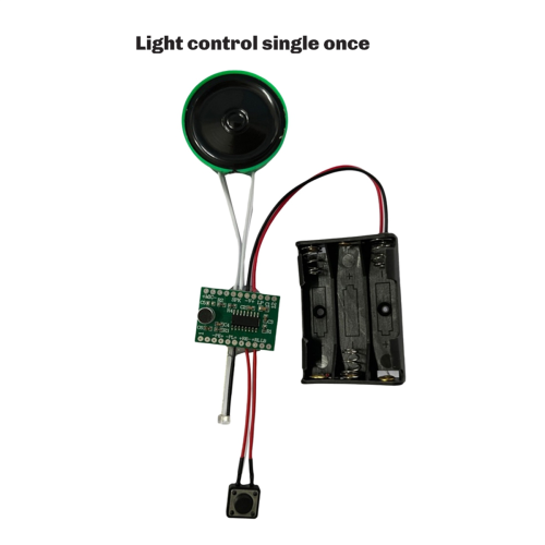 Light-Controll Recording and Sound Module Light-Ac 2