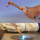 Oxygen & Acetylene Torch Kit,Welding Kit,Cutting B 6