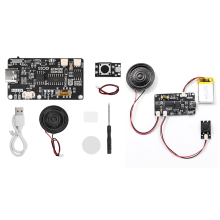 Recordable Sound Module with MP3 Download TYPE-C f