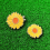 Removable Yellow Flower Pattern Golf Cap Clip with 4