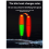 Rock Fishing Float 9.0MM 2 Mesh Bold Luminous High 3