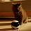 Smart Home Companion Robot Remote Control Surveill 4