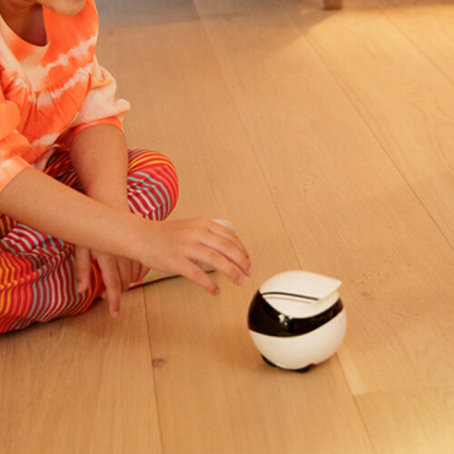 Smart Home Companion Robot Remote Control Surveill 2