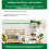 Smart Automatic Watering System with Adjustable Dr 6