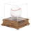 Softball Display Case, Plastic Holder, Clear Cube 4