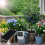 Solar Panel Powered Water Pump Intelligent Drip Ir 6