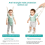 Adjustable Toddler Assistant, Baby Safety Support 5