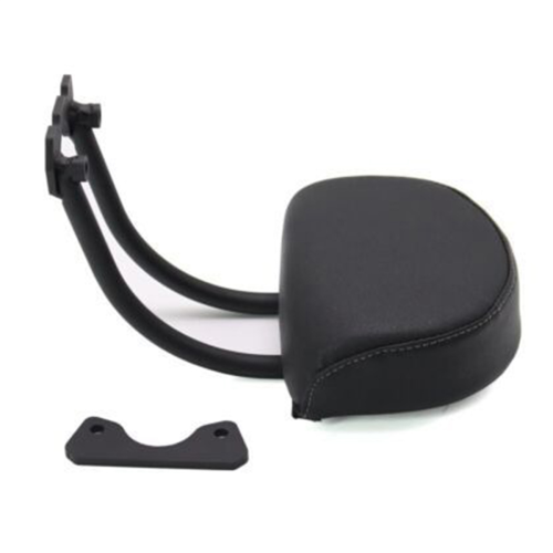 Modified Passenger Rear Backrest Kit for Sportste